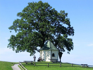 Seniorenfahrt Chiemgau