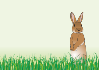 Kindermusical Osterwunder