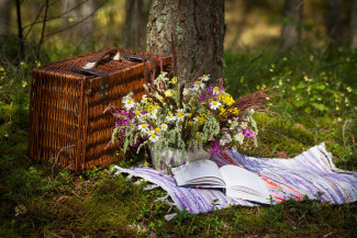 Orgelpicknick